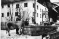 Dorfbrunnen – Kühe beim Tränken. Bildquelle: Gemeindearchiv Serfaus